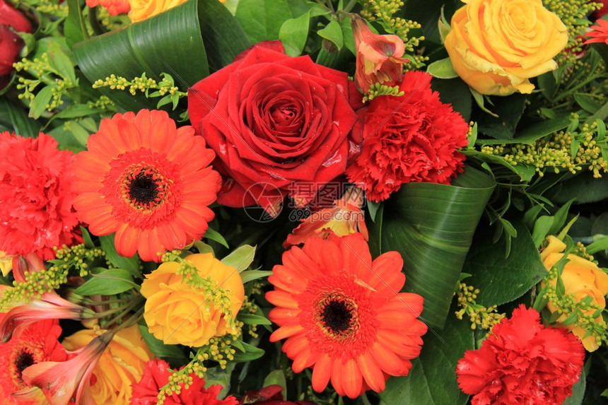 红色橙和黄的结婚装饰杰贝拉斯康乃馨和玫瑰图片