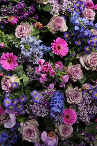 粉和蓝色的花安排图片