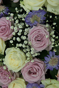 紫色和白玫瑰混合吉普西拉和紫色的爱在雾中图片
