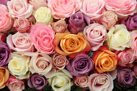 婚礼的玫瑰安排不同面罩下大小的玫瑰图片