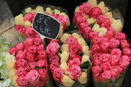 在普罗旺斯的艾克花市朵场各种颜色的玫瑰花束图片