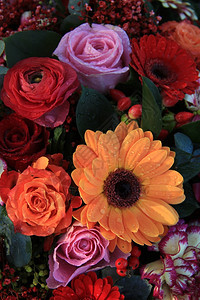 彩色婚织安排不同颜色的混合花朵图片