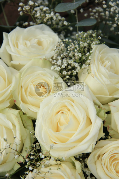 白玫瑰与绿色混合在新娘花束中图片
