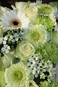 混合的白色婚礼花和玫瑰背景图片