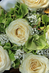 白新娘花束和玫瑰图片