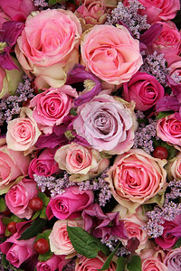 婚礼花各种面糊颜色的玫瑰图片