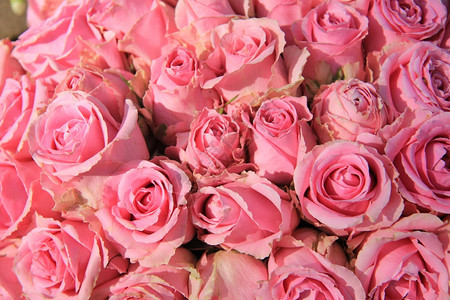 粉红玫瑰在一个大新娘花束和中心件图片