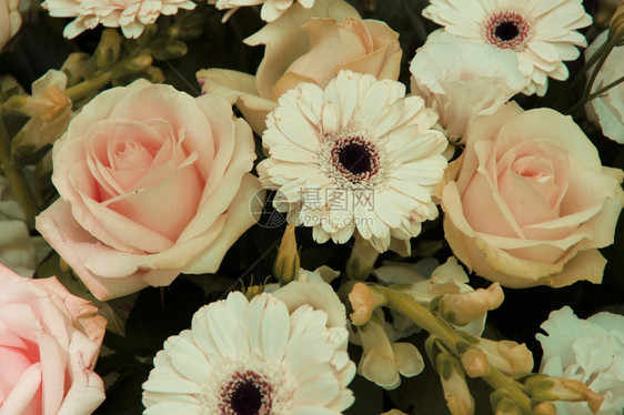 彩色粉红玫瑰和白的花在婚礼安排中图片