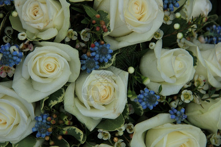在婚礼花朵安排中蓝葡萄香和白玫瑰图片