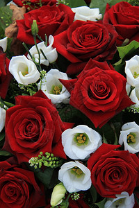 婚礼安排中的红玫瑰和白利西安图斯背景图片