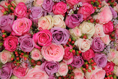 紫色和粉红的面玫瑰婚礼安排背景图片