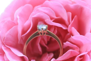 索利塔钻石订婚戒指在柔软的粉红玫瑰图片