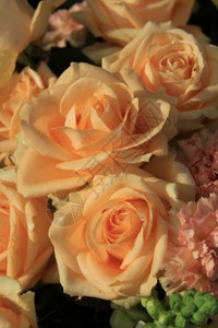 与软橙色玫瑰和康乃馨的花香安排图片
