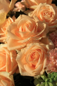 粉色康乃馨花束与软橙色玫瑰和康乃馨的花香安排背景
