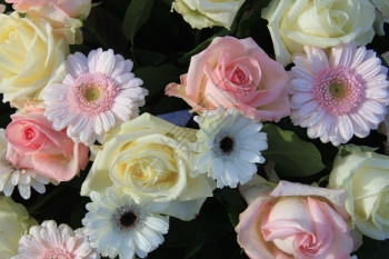 粉和白花与玫瑰黄的配方安排图片