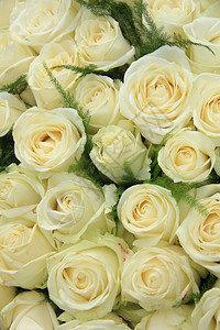 白玫瑰在大新娘花朵装饰中图片