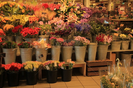 花店朵多彩荷兰语标签的名称和价格图片