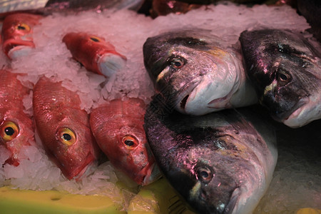 鱼店碎冰上的新鲜海鱼图片