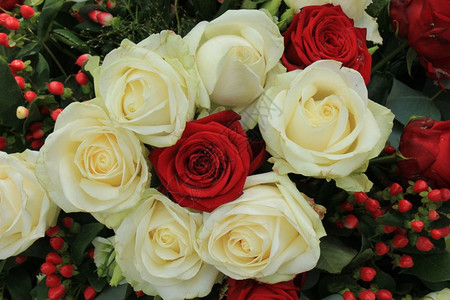 红玫瑰和白在新娘花束中图片