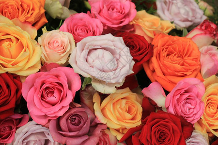 鲜花盛装的彩色婚礼玫瑰花朵图片