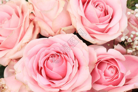 大粉红玫瑰花般的婚礼装饰图片