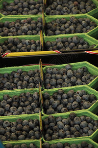 蓝莓在市场摊位上装小盒子的蓝莓图片