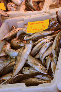 市场摊位上新鲜的鹦鹉股价荷兰格和产品信息竹鱼图片