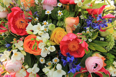 各种亮色的混合春季花束图片