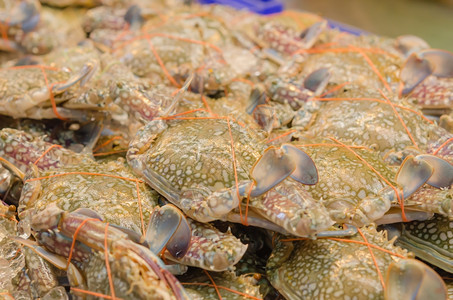 鲜花蟹或海市场上的蓝蟹背景图片