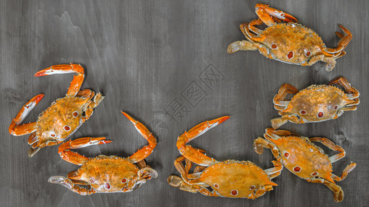 甲壳类食物框架木底螃蟹背景图片