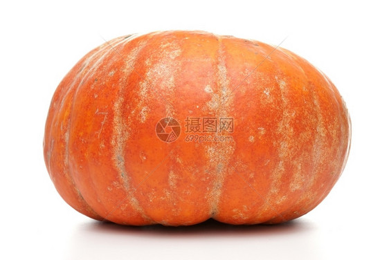 橙色南瓜孤立在白色的背黑锅上图片
