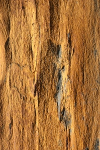 土色页岩的背景纹理图片