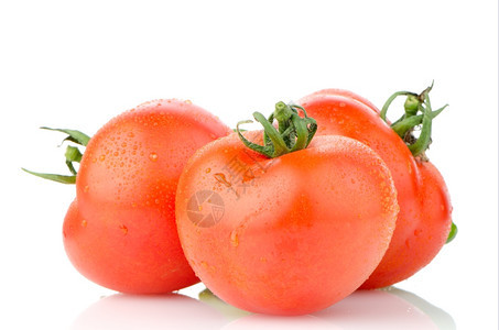 红熟番茄藤孤立在白色背景上图片
