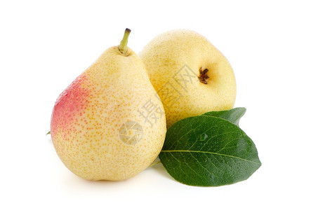 两个成熟的梨子在白背景上被孤立图片