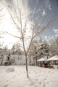 冬季雪下野外餐场日间景图片