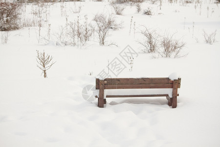 雪覆盖的野餐场长椅白日景图片