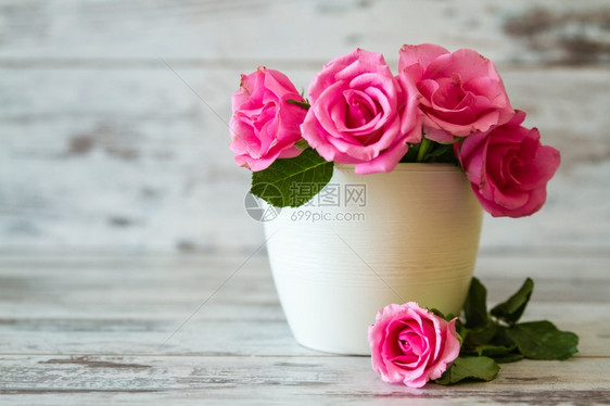 白木背景的锅中粉红玫瑰图片