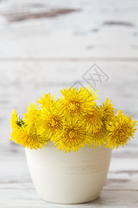 白木背景花盆中的黄色朵图片