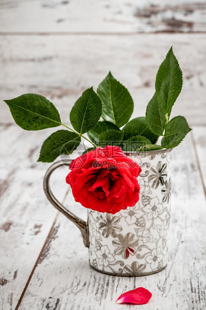 白银装饰杯中美丽的新红玫瑰图片