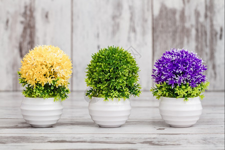 白木底花盆中的人工黄紫和绿色植物图片