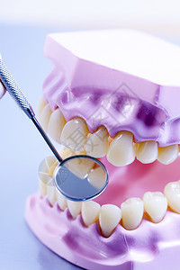 专业牙科工具不育医疗辅助专业牙工具图片