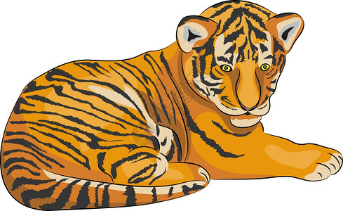 胡咆哮卡通老虎插画