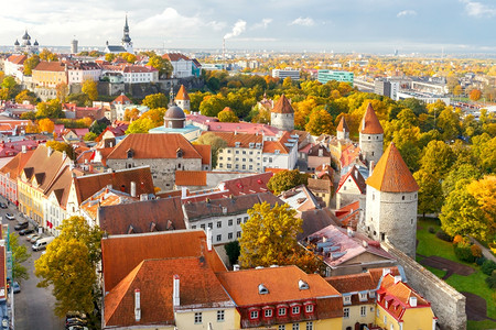 爱沙尼亚塔林旧城街道和屋顶的景象图片