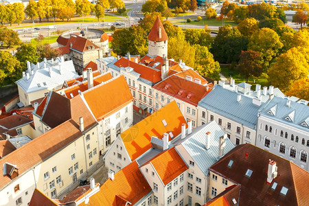 爱沙尼亚塔林旧城街道和屋顶的景象图片