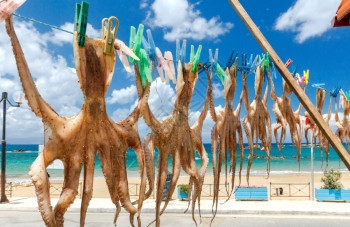 在沙滩背景上用衣夹在晾衣绳上晾晒章鱼克里特岛希腊图片