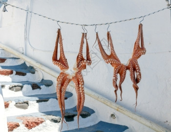 Oia村的章鱼干外面衣服线上的章鱼干SantoriniOia图片