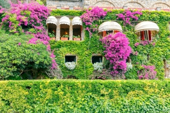 房子满是鲜花意大利房子装饰着鲜花利古里亚辛克特尔图片