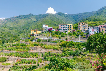 科尼格利亚城市的空中景象古老的科尼格利亚村景色阳光明媚的一天图片