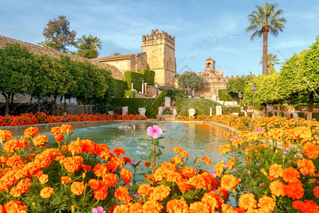 阿尔卡扎德洛斯雷耶克里蒂亚诺的鲜花园和喷泉克里斯蒂安国王皇宫科尔多瓦安达卢西亚班牙图片