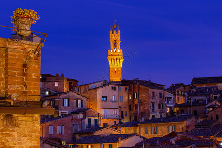 锡耶纳看日落时的老城看日落时的中世纪小区看意大利的锡耶纳图片